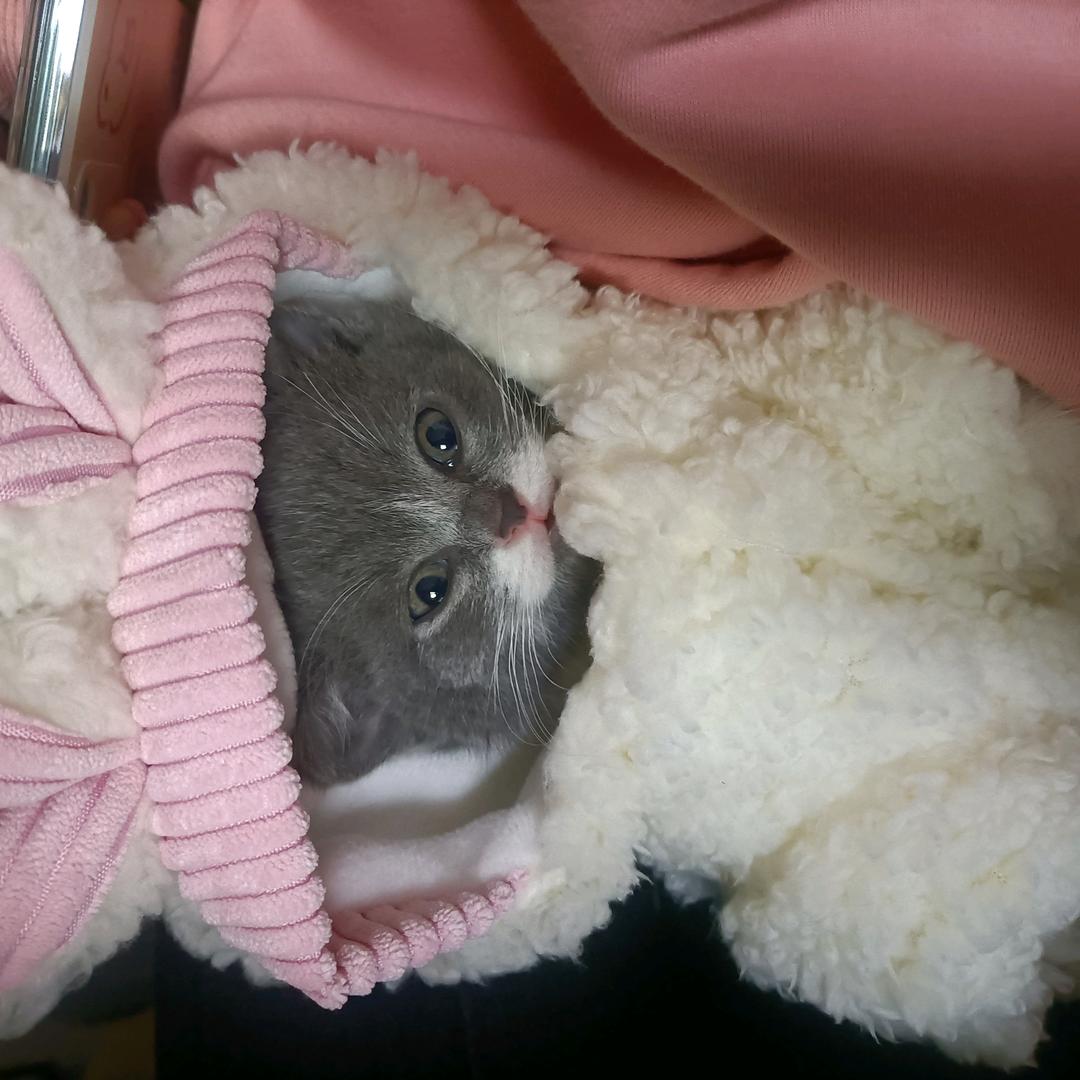 ℒᎭℯ⃟樱桃小果董💕⁵₁²҈₃º小萱萱