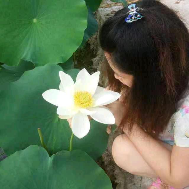 燕丫头