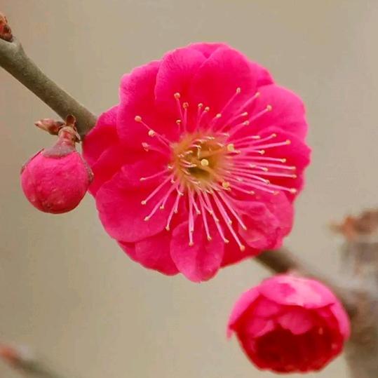微笑姐