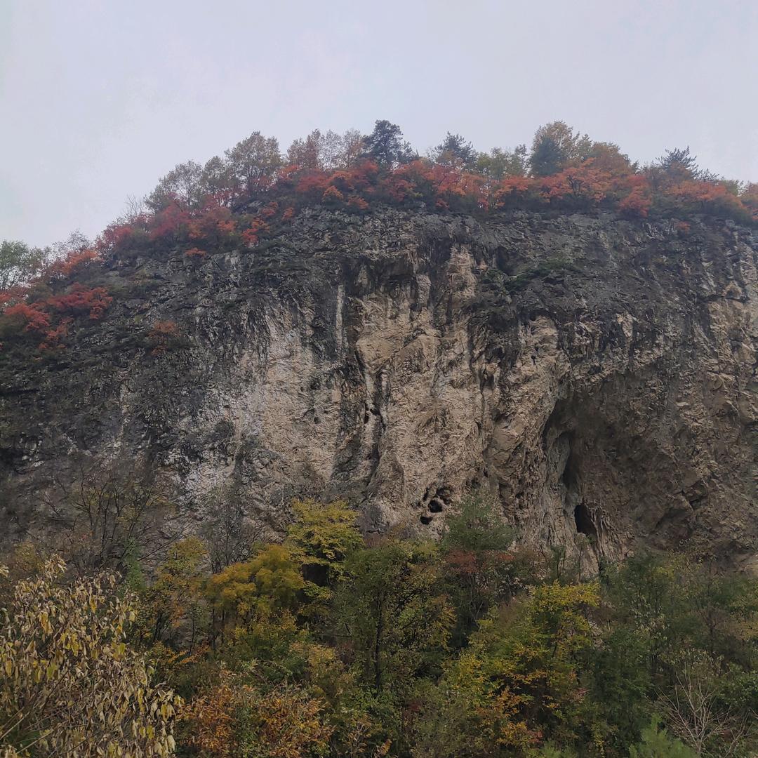 ℳ๓🐅刘এ᭄ꦿ࿐