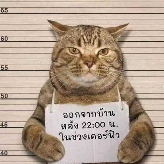 易相逢