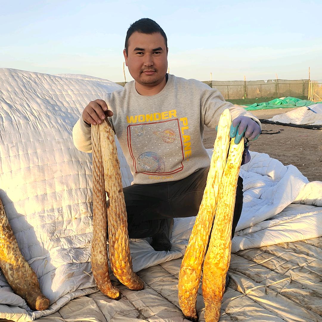 新疆特色产品👨‍👩‍👧