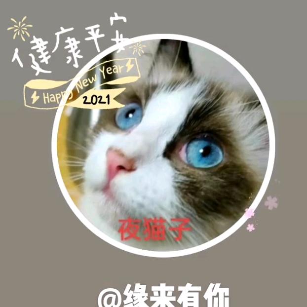 缘来有你
