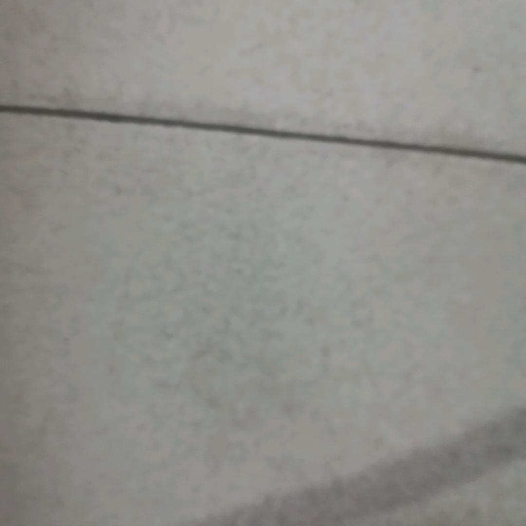 玉米的玉米
