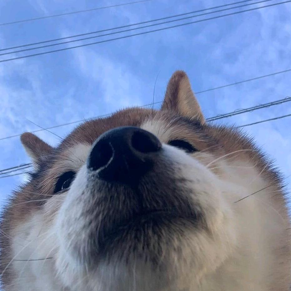 老实人俺不会顶嘴