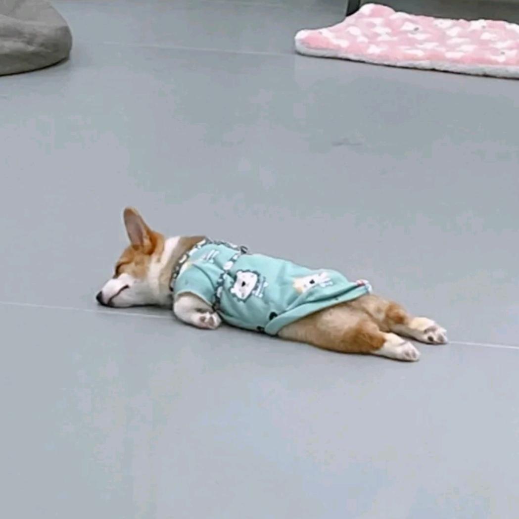 睡不着