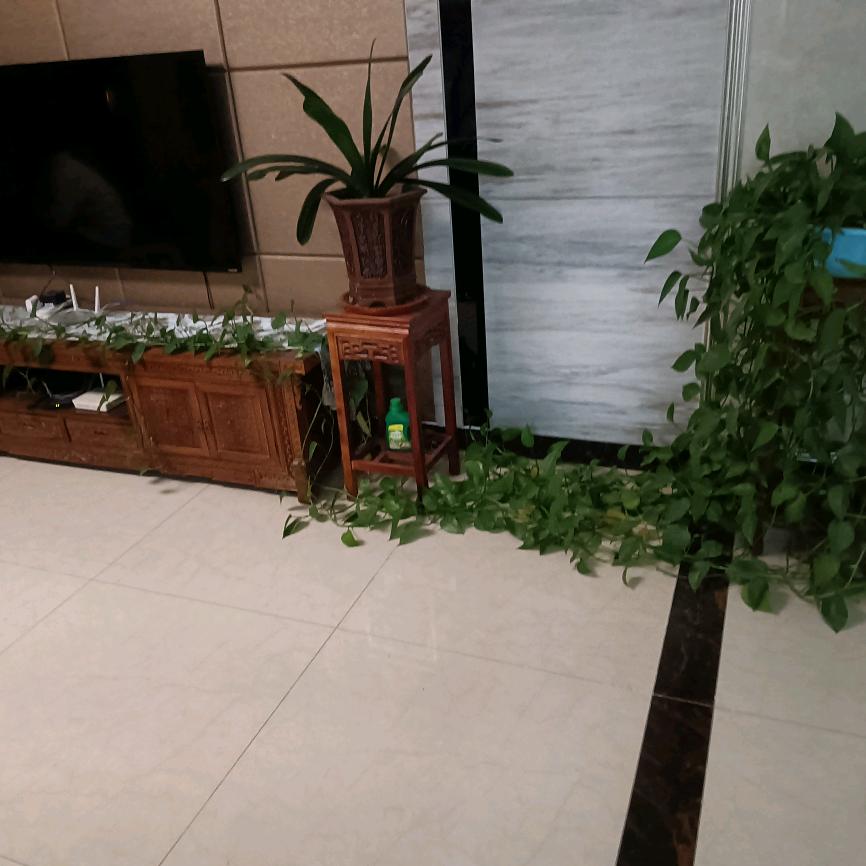 赵建房