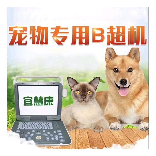 宜慧康宠物彩超厂家