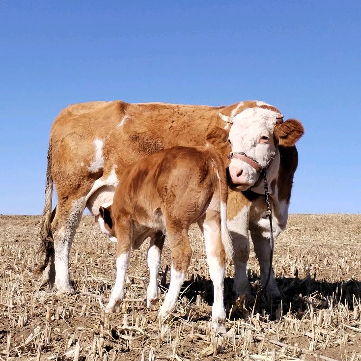 文武斌（心态）