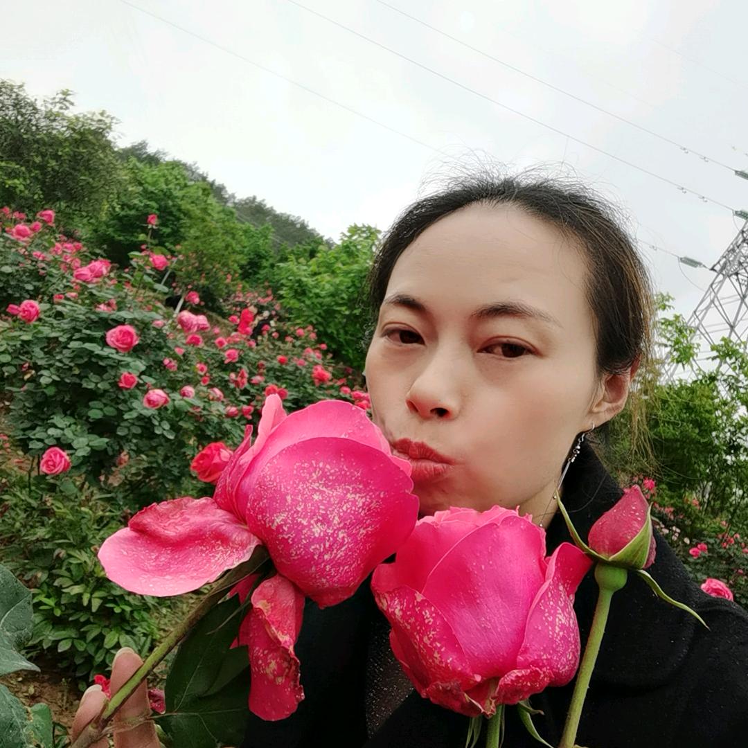 晏芝