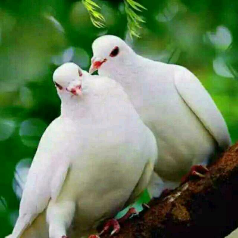 一路有你