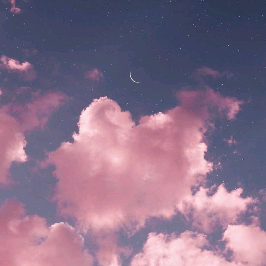 𝙎𝙘𝙚𝙣𝙞𝙘.✨