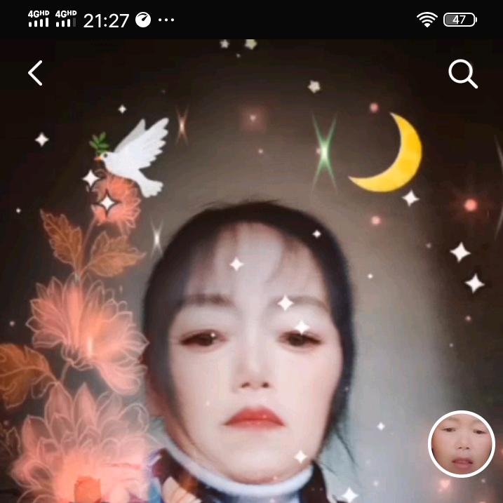 菊兰