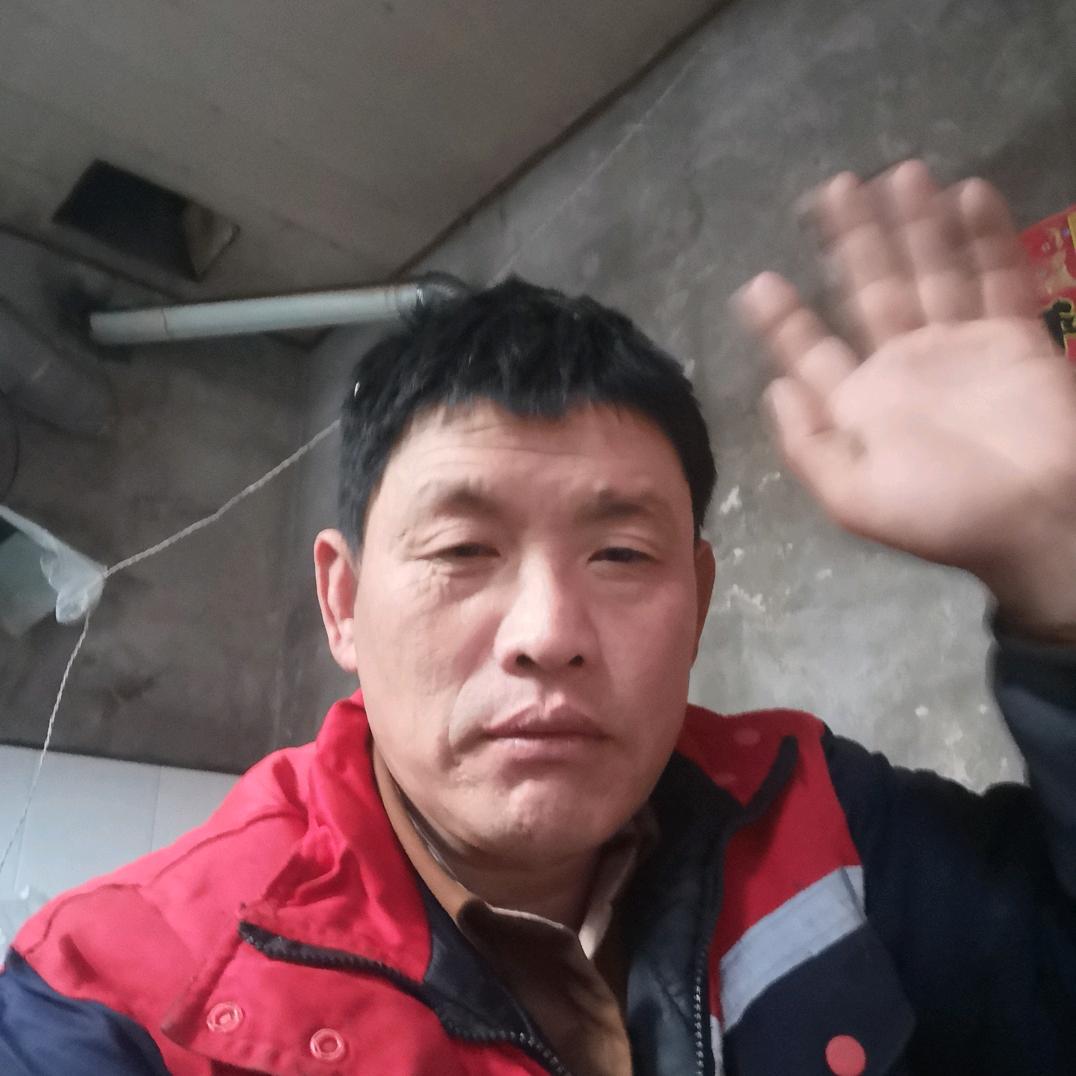 程四哥养土猎，五黑犬松狮犬养殖
