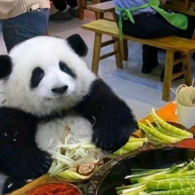 老书记