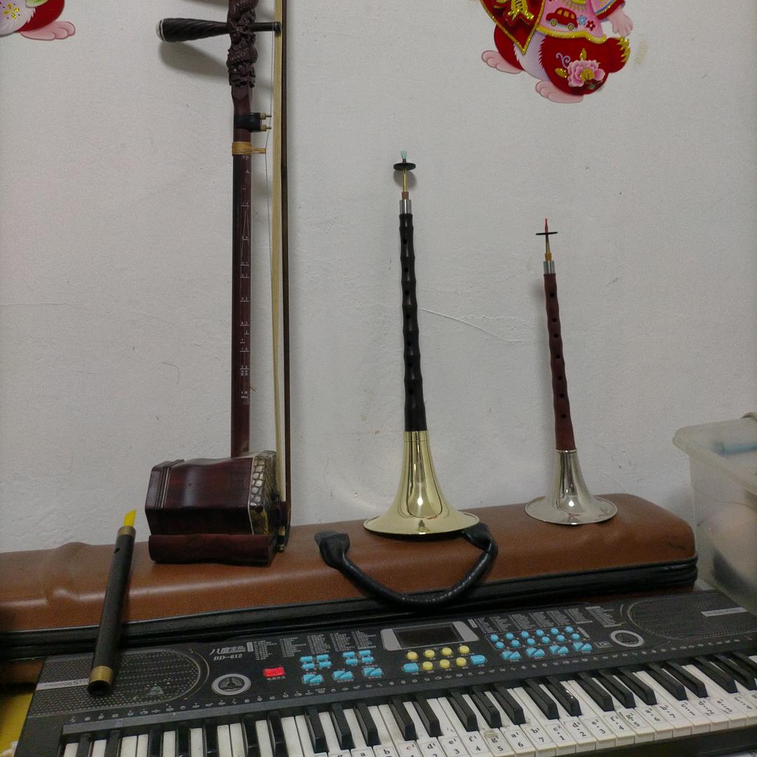 龙哥琴音