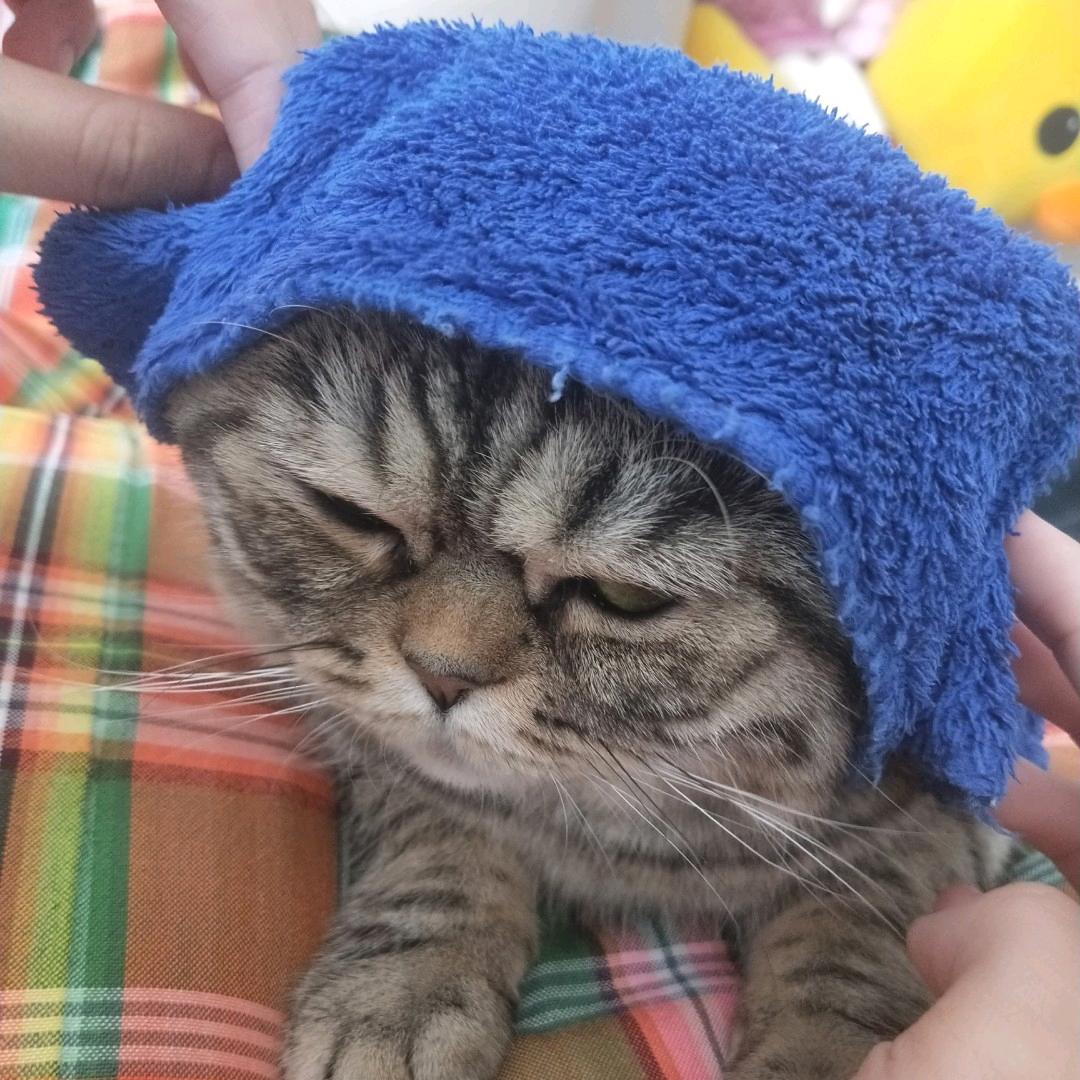 心之所向✨