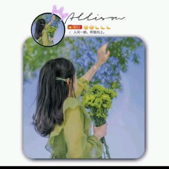 人生若只如初见