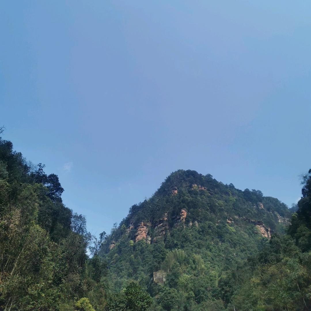 在下袁春平