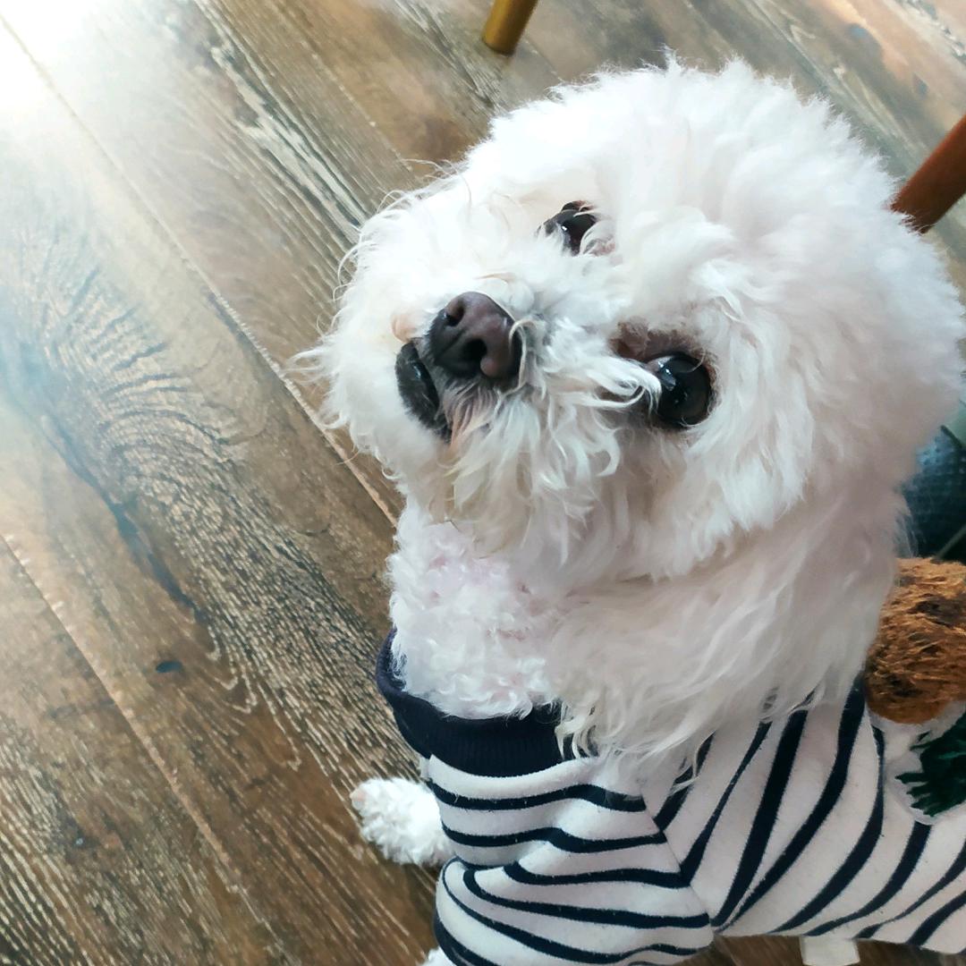 骑着蜗牛寻找爱