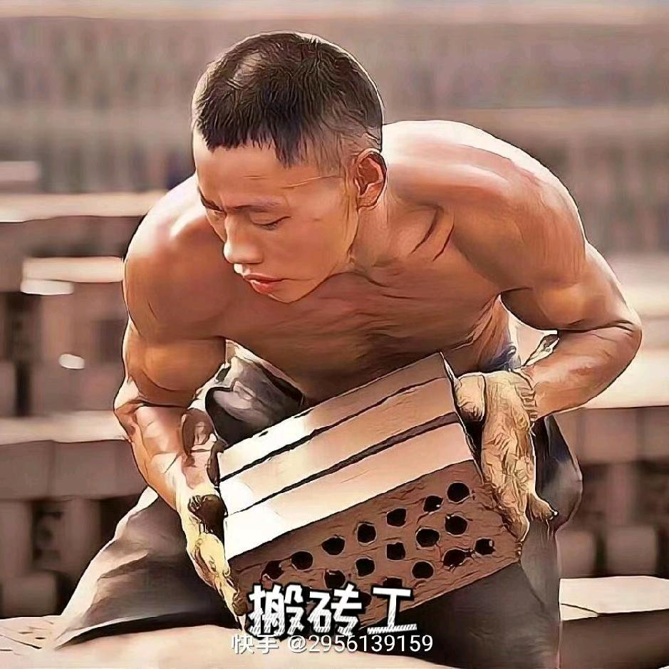 🐯🐯🐯🐯🐯🐯