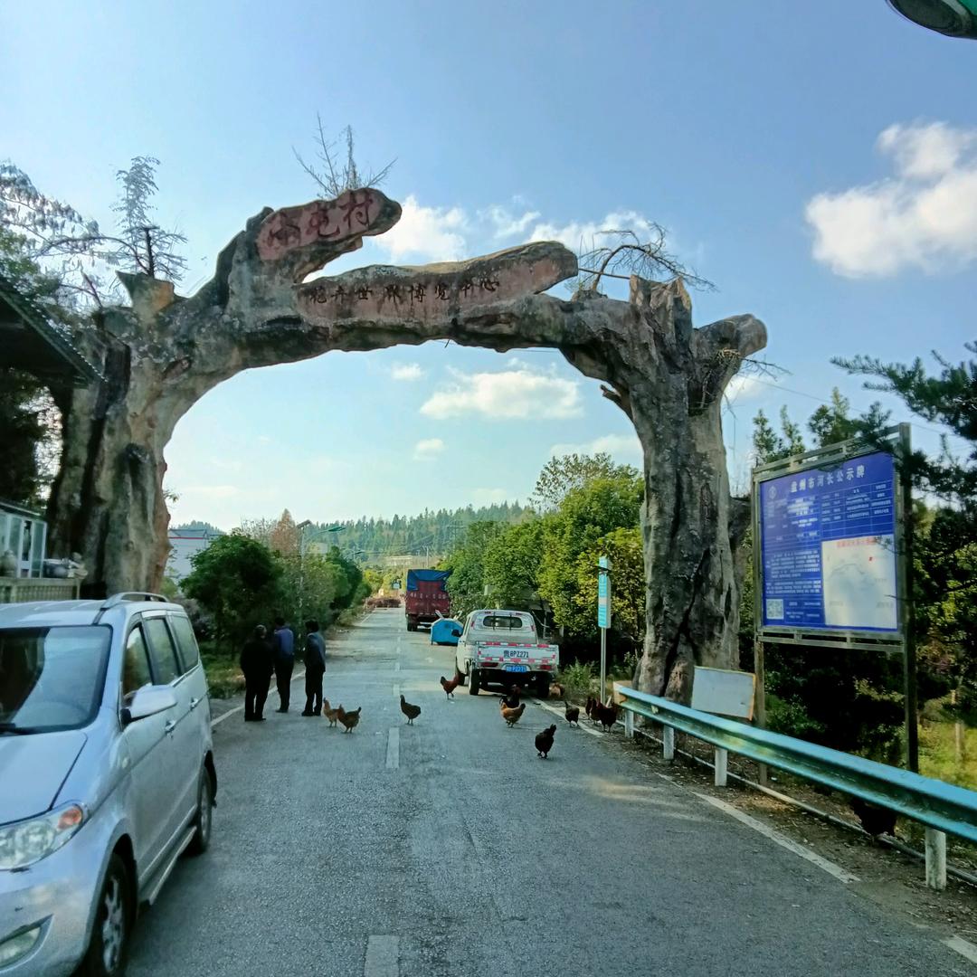 陈文丰