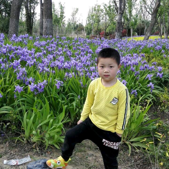 大胖，小胖，妈妈