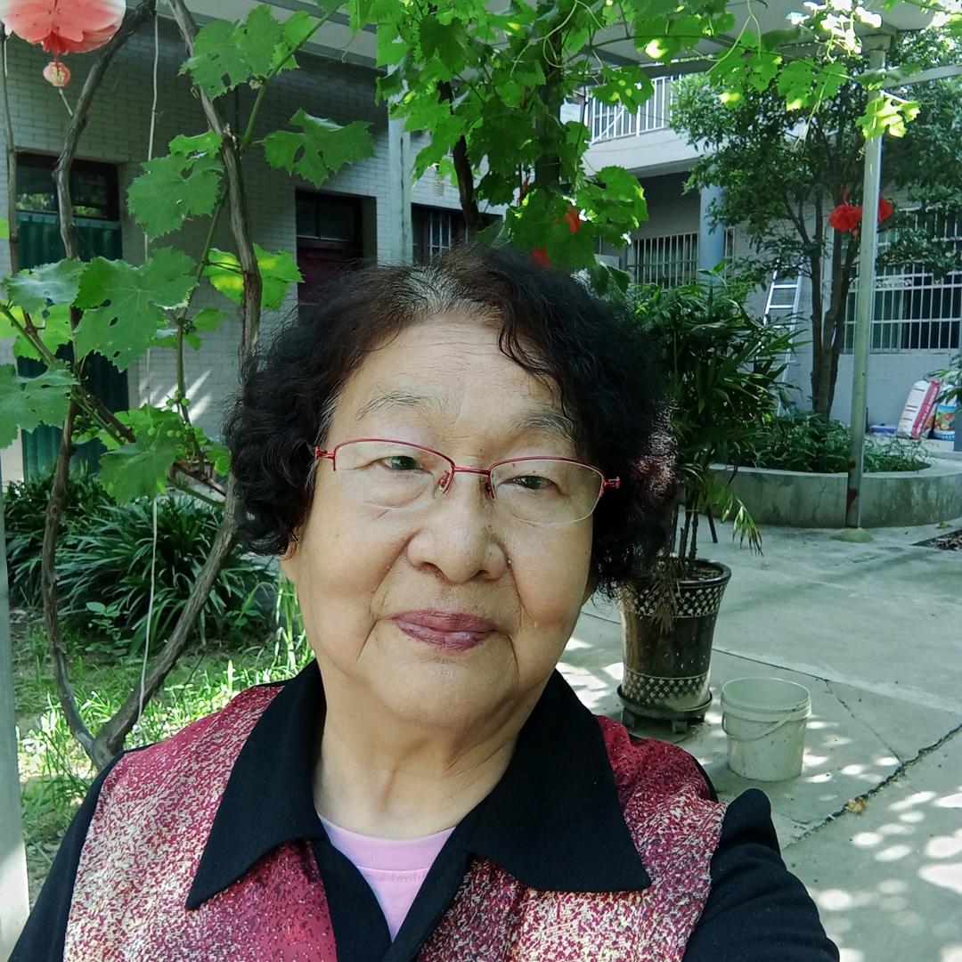 神菊铺子《早上6点10首播》