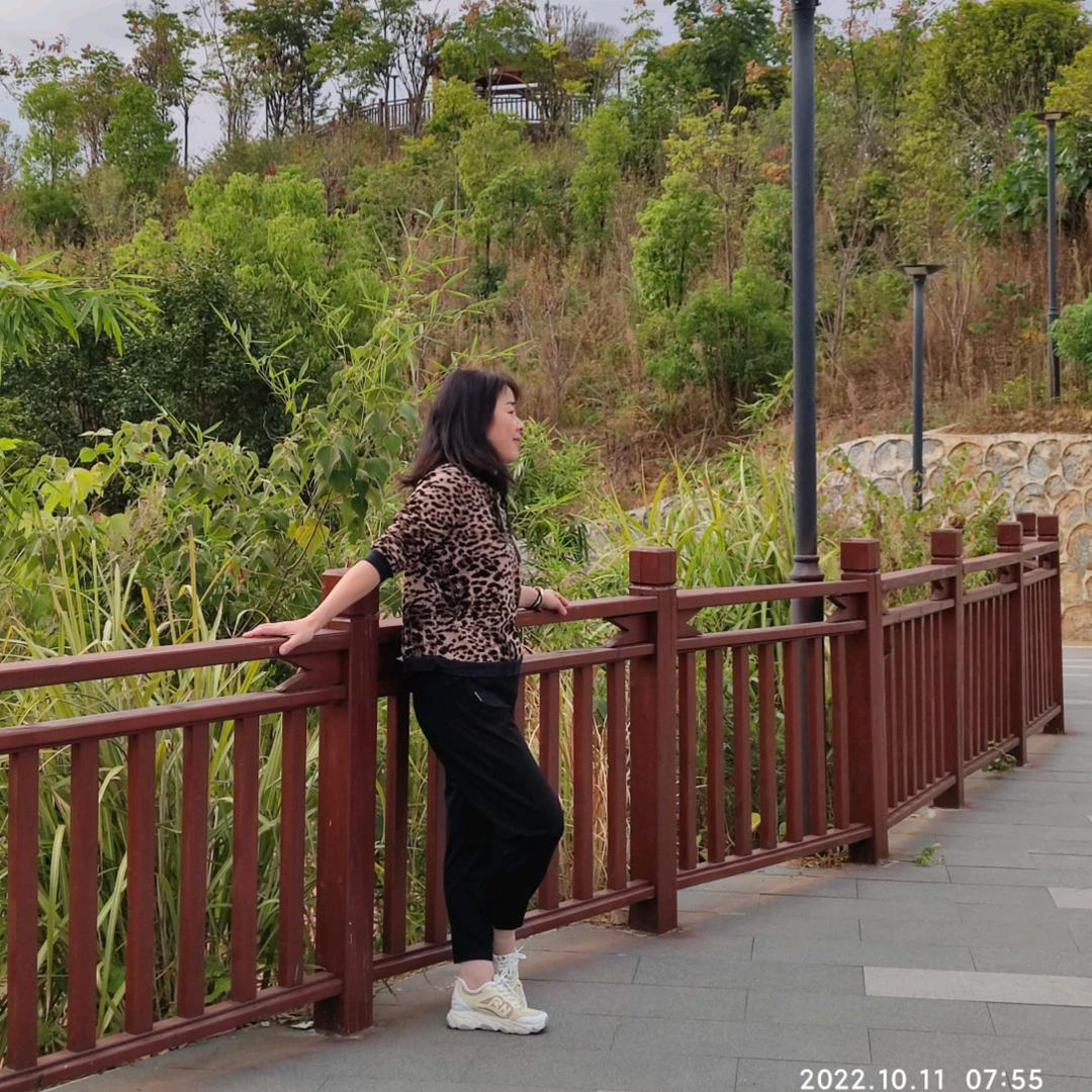 芸芸