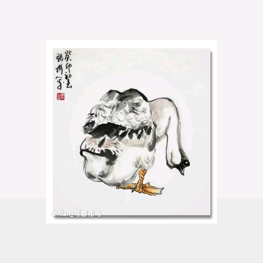 新华书画