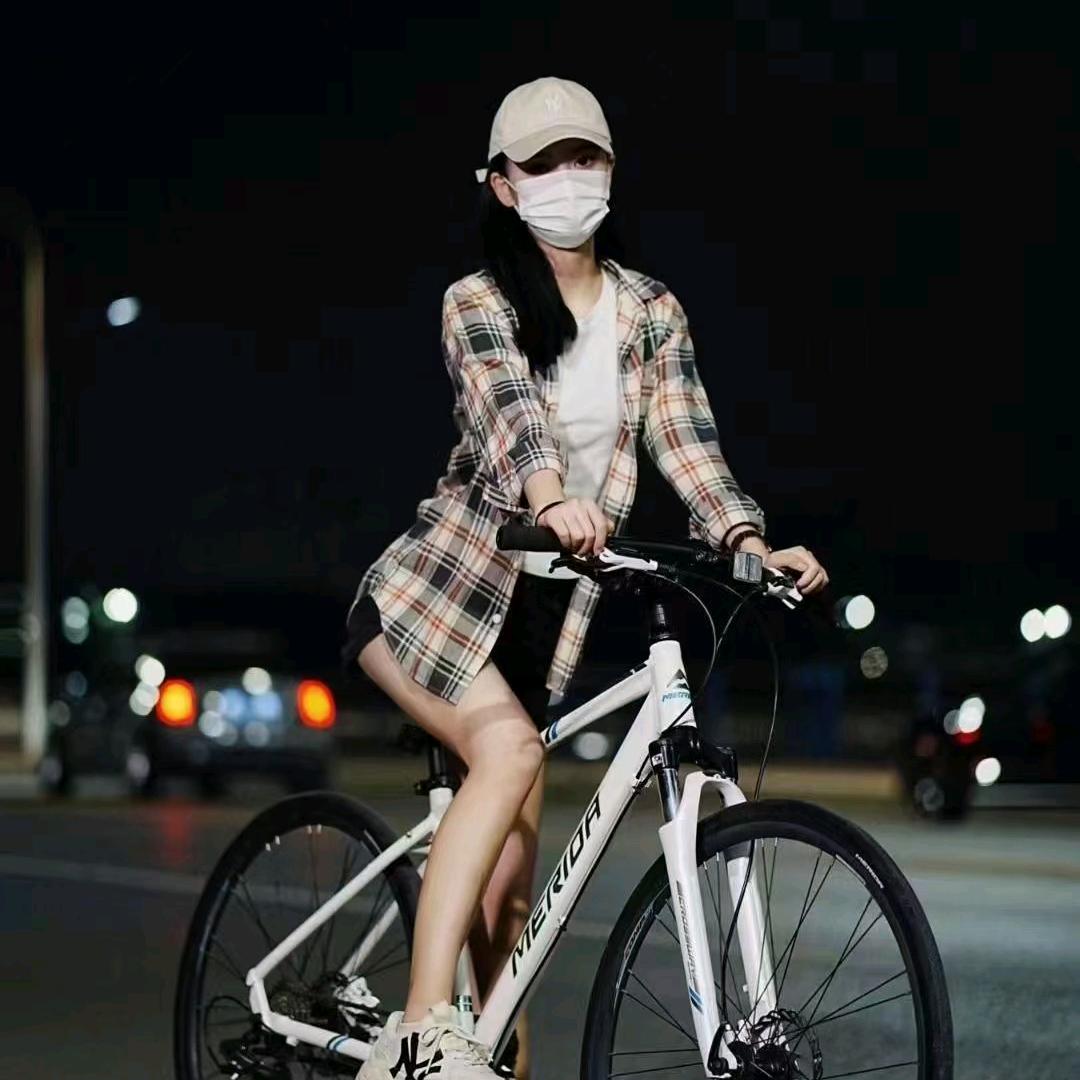 张老弟精品单车