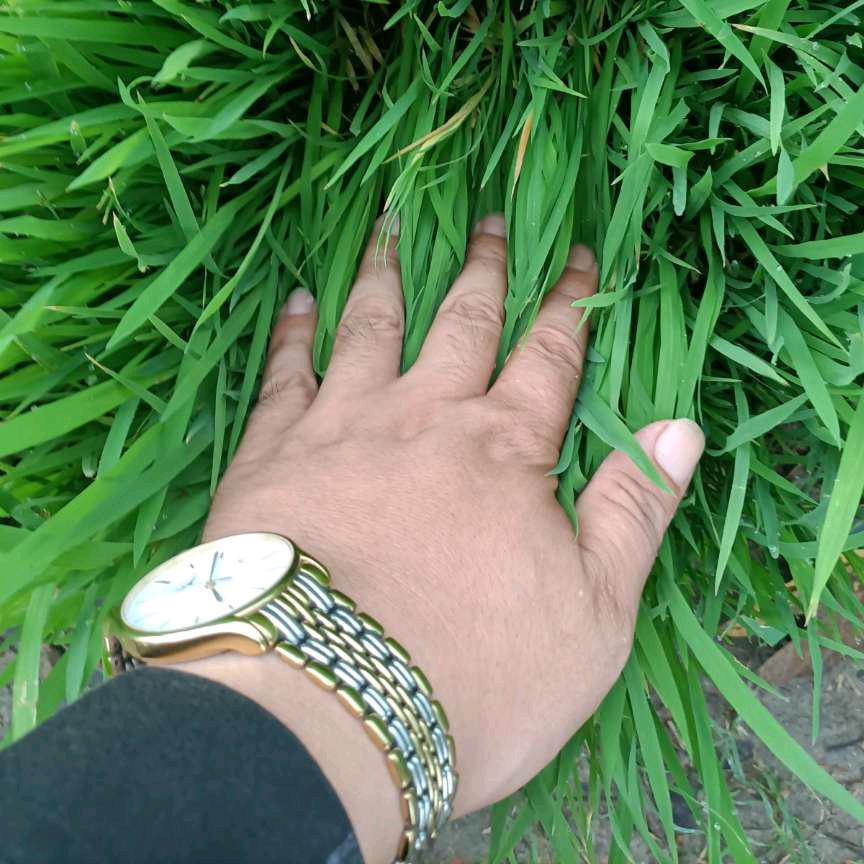 ╭(╯明天╰)╮宁缺毋滥。