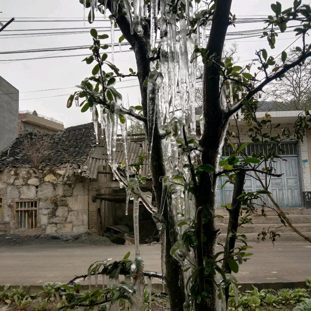 小丫丫
