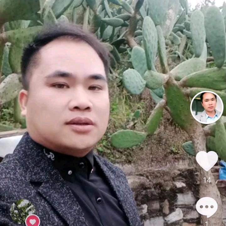 小伍。浪子不回头