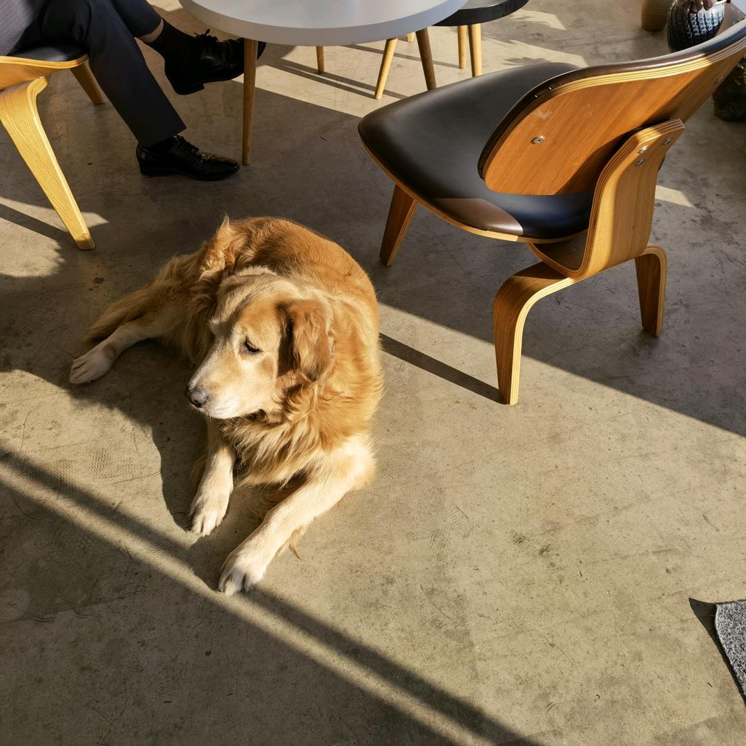 穷则独善其身，达则兼济天下