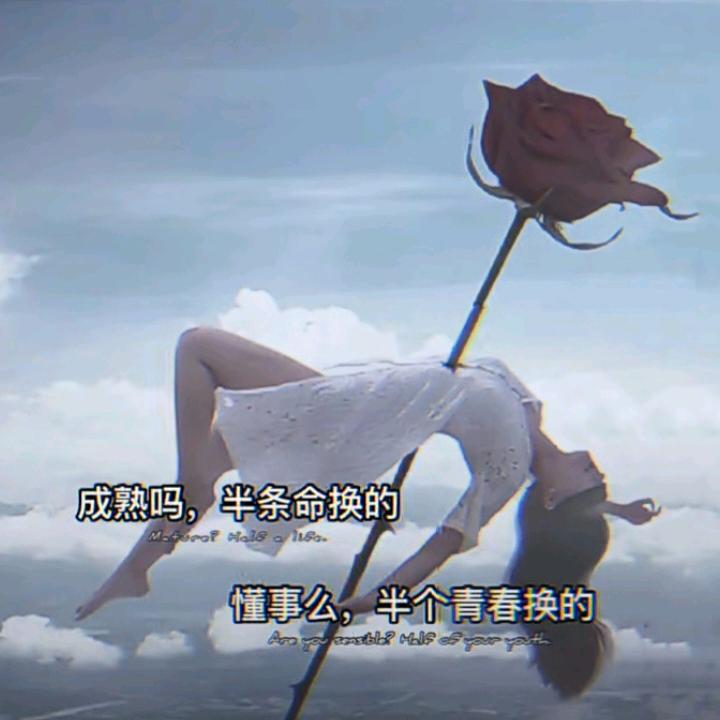 顺风顺水