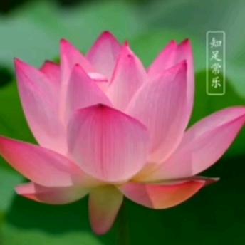 💞我爱我家💞