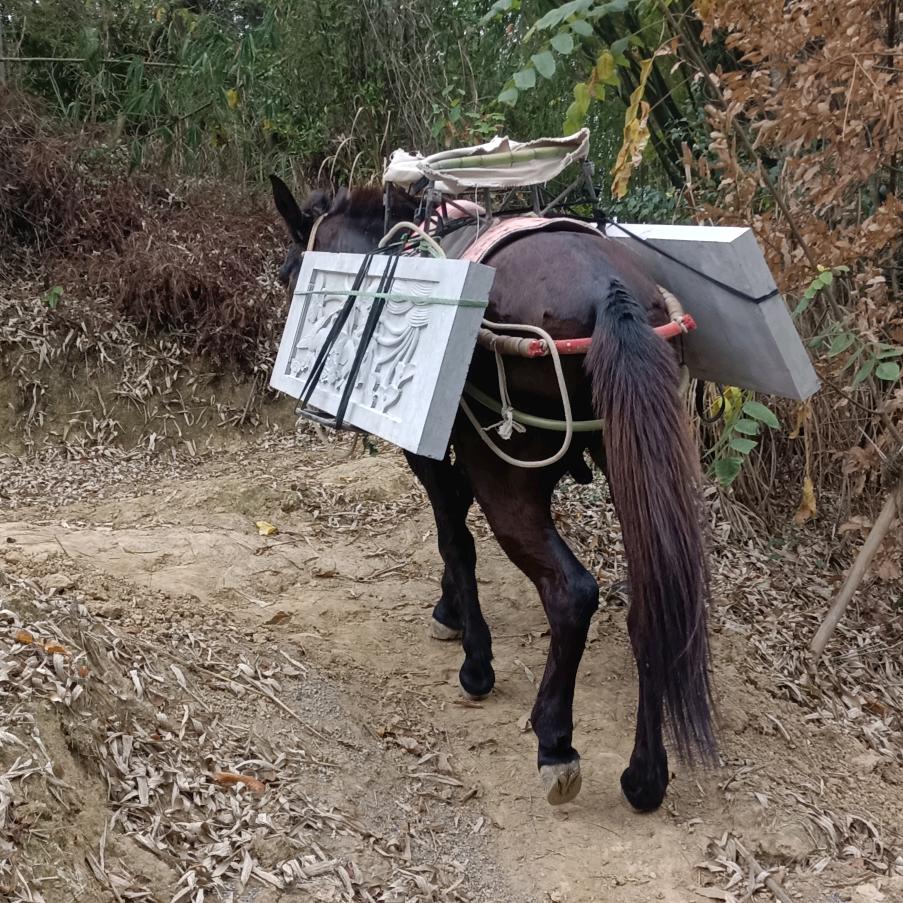 工地小伙子吃苦耐劳