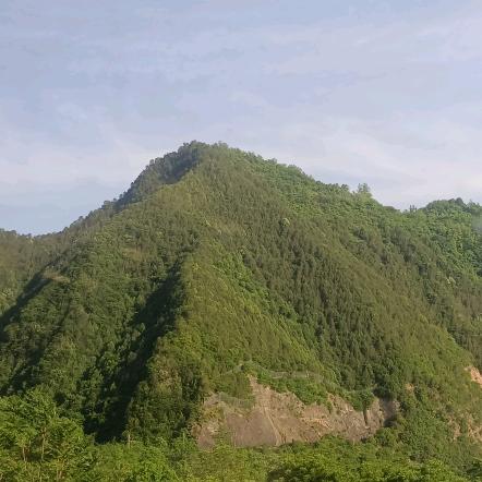 给我一个理由忘记_200416761