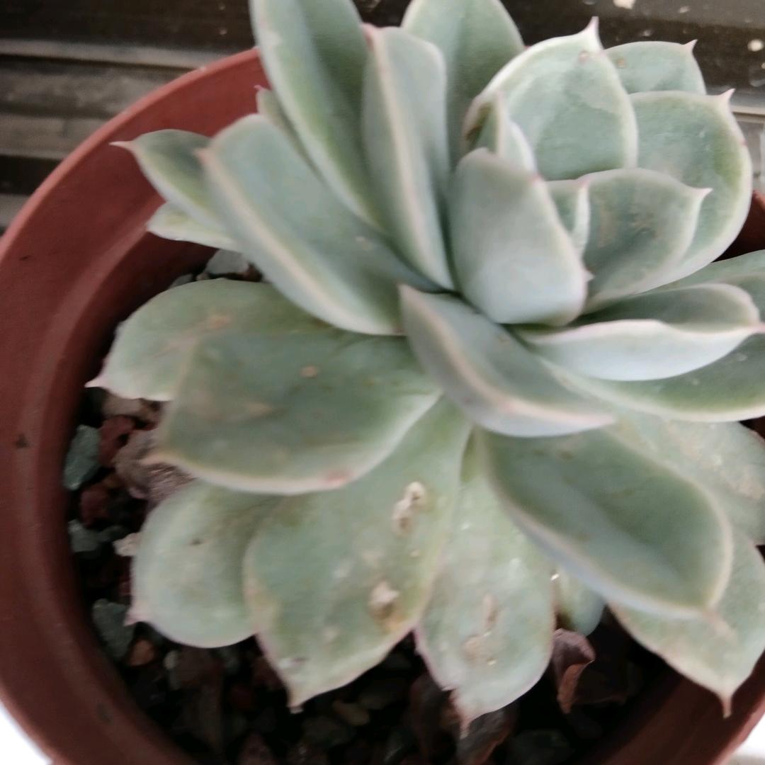 星⭐语心愿ල᭄💞幸福很简单♥ꦿ᭄࿐