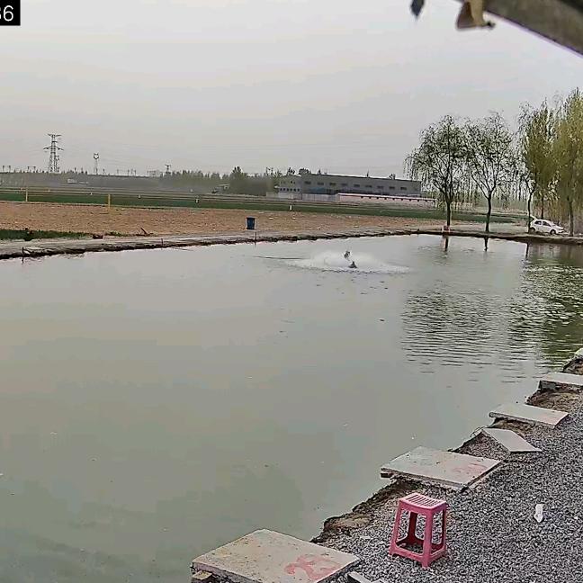 崔马庄小东钓场