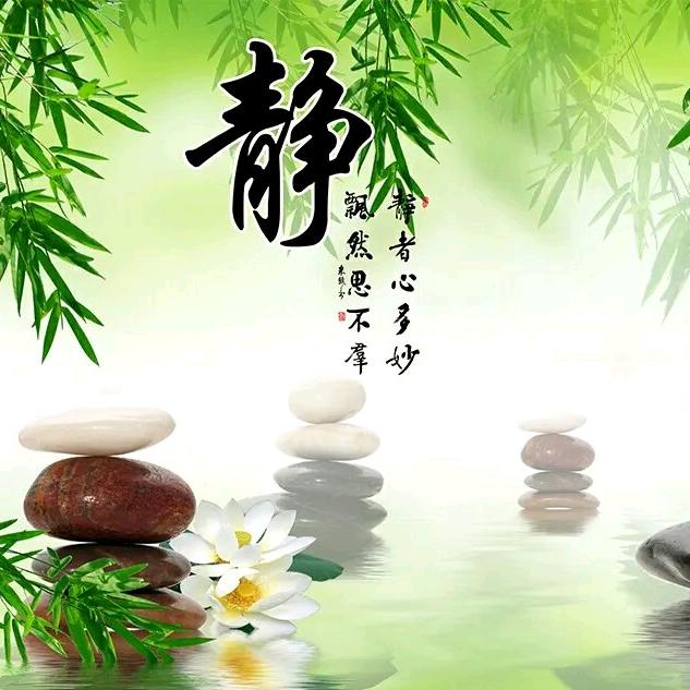静心
