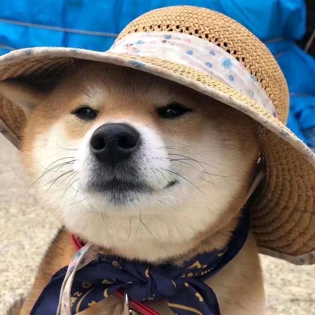 祈明