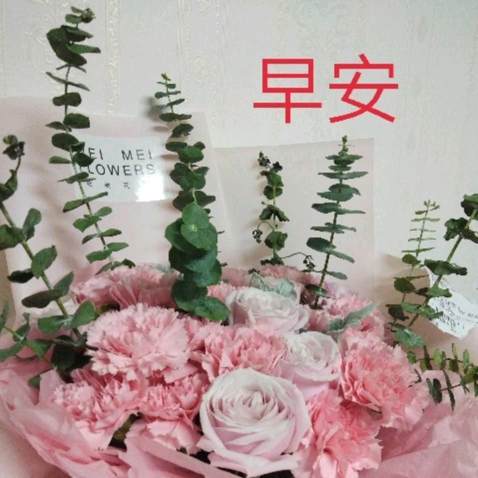 生死由命富贵在天