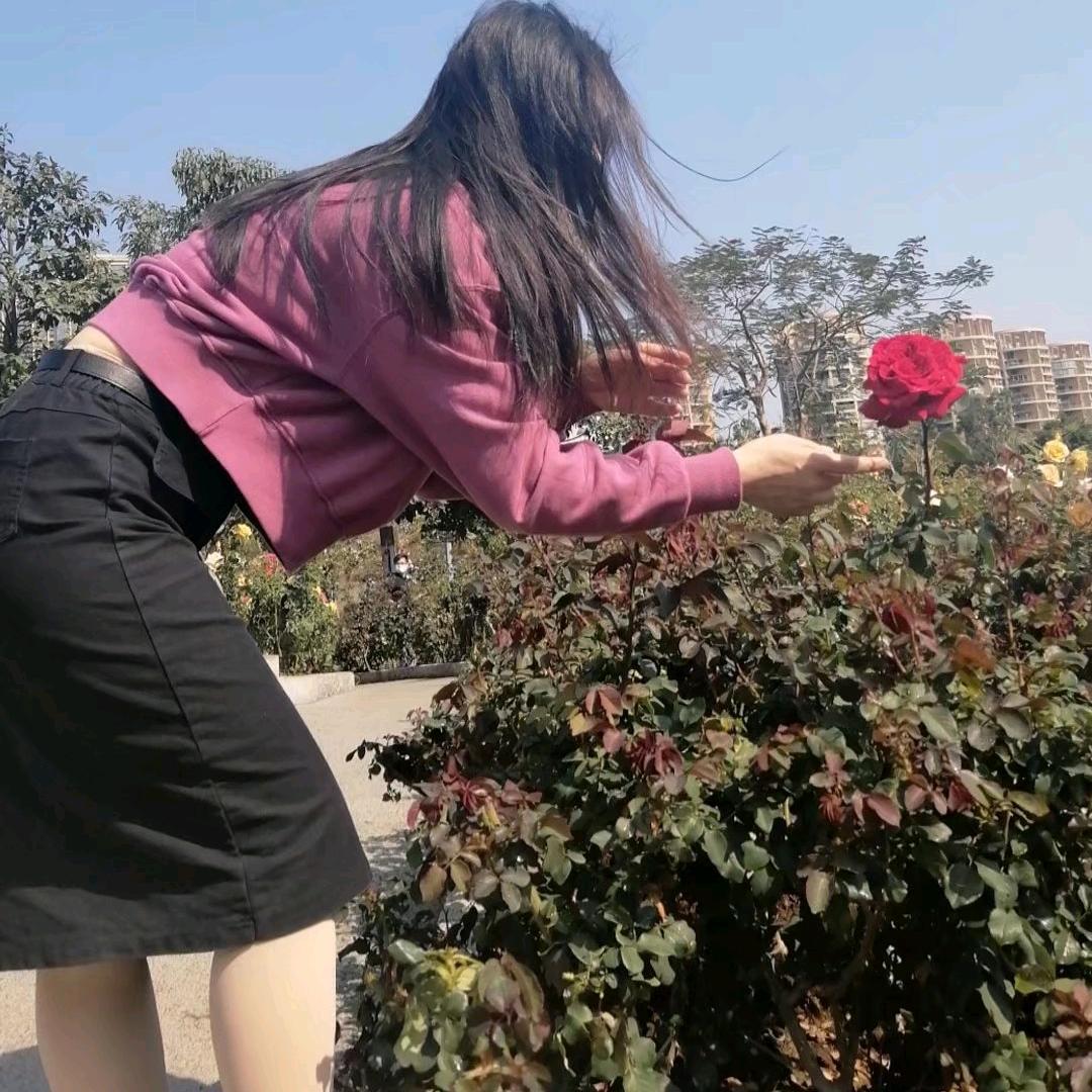 静思～益生菌纤维