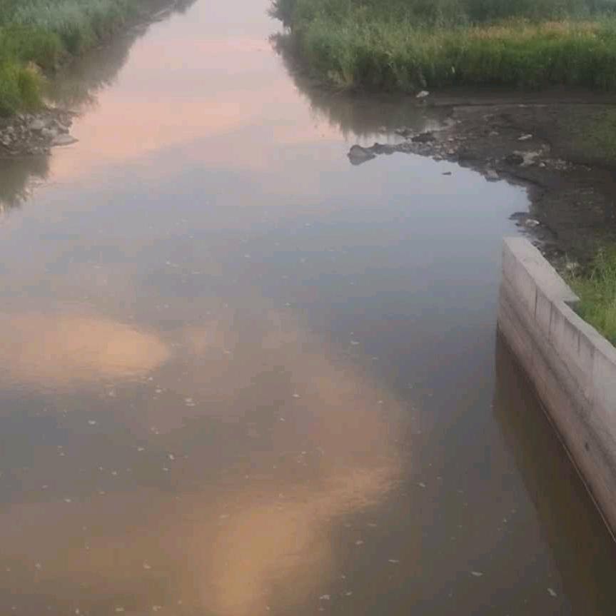 高军