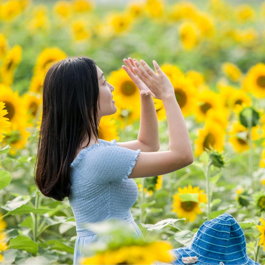 一帆风顺 🙏🙏🙏🙏
