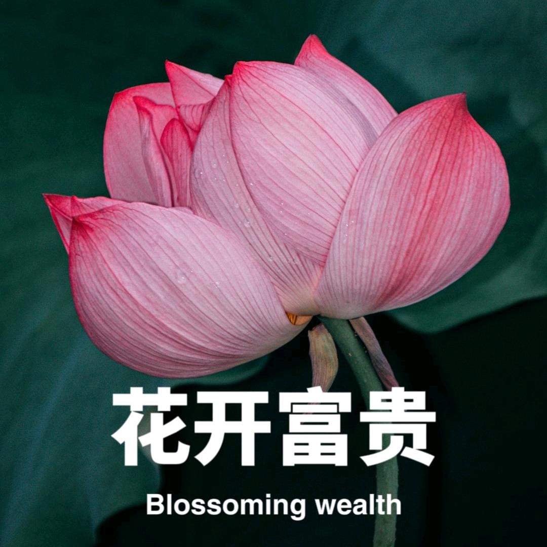 往上看