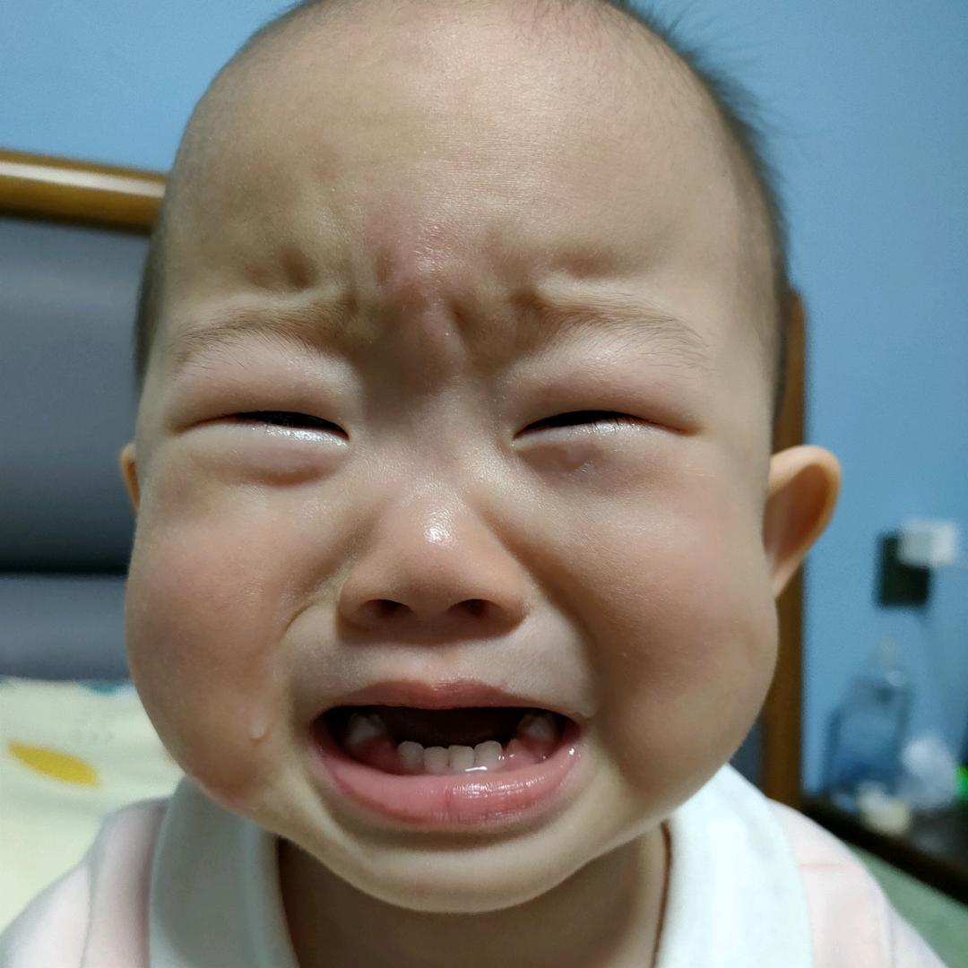 小了白了兔了，白了又了白了