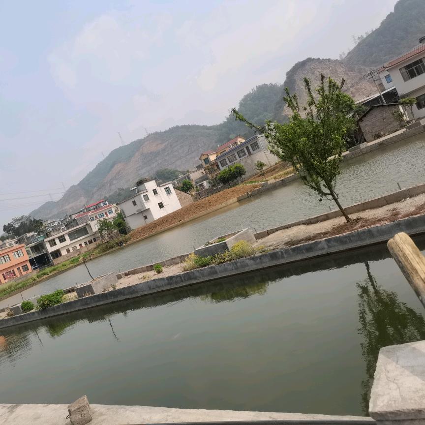 鱼塘有鱼🐟